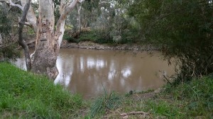 yarracamp