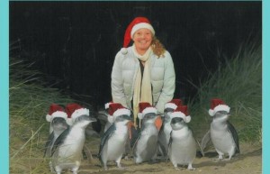 penguin christmas
