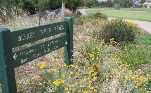 merricreek
